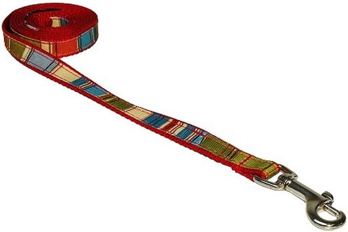XSmall Red/Multi Stripe Dog Leash: 1/2" Wide, 4ft Length - Made in USA.