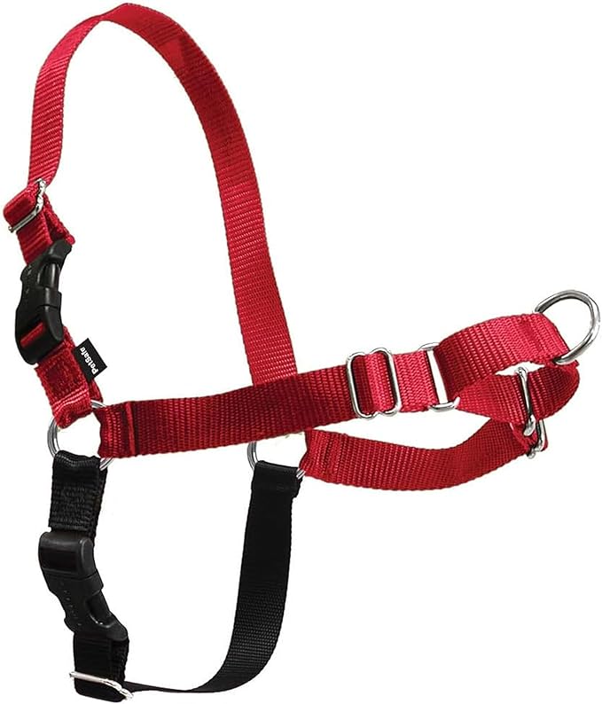 PetSafe Easy Walk No-Pull Dog Harness - Ultimate Harness to Help Stop Pulling - Pull-Free Walks - Take Control & Teach Better Leash Manners - Patented Martingale Loop Design - Red, Large
