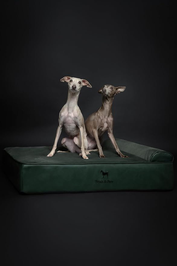 NOAH & PAW Large Dog Bed, 35x25x8.7 Inch, Orthopedic Dog Beds, Eggshell Memory Foam Infused with Cooling Gel, Water Resistant, Machine Washable, Includes Inner Cover (Faux Leather)