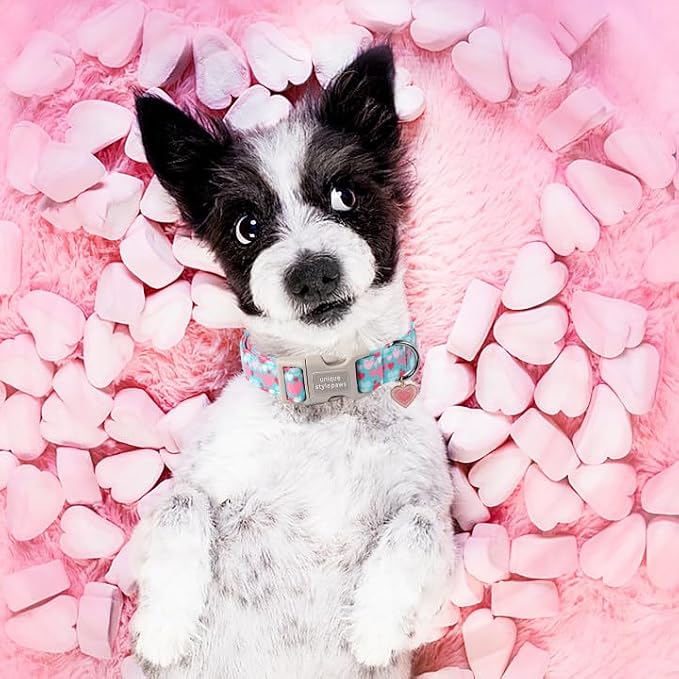 Unique style paws Valentine's Day Dog Collar Plastic Buckle Collar with Pendant Colorful Love Heart Gift Wedding Small Medium Large Boys Girls Dogs