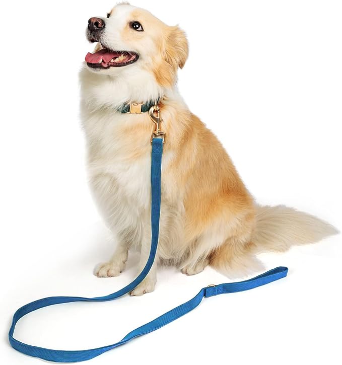 Soft Corduroy Dog Collar and Leash Set Adjustable Durable Dog Collars with Metal Buckle and Lead for Large Dogs,Royal Blue