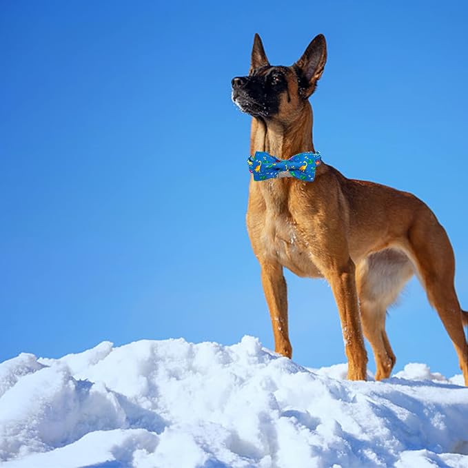 Elegant Little Tail Dog Collar with Bow - Soft Adjustable Collar for Small, Medium & Large Dogs