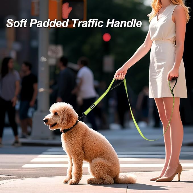 Heavy Duty Double Handle Dog Leash 6 ft Long for Total Control, Padded 2 Handle, Reflective Training Lead for Medium Large Dogs (Green, 6 FT)