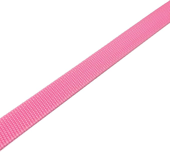 TAIAN 4FT/5FT/6FT Strong Dog Leash, Nylon Dog Leashes for Small Medium Large Dogs (Pink, 1 in x 15 ft)