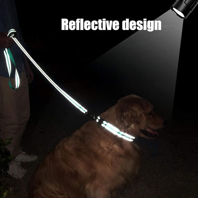 FunTags 6FT Turquoise Reflective Dog Leash for Medium & Small Dogs Walking, Soft Padded Handle Comfortable Grip, Heavy Duty Nylon, Reflective for Night Walking, 3/4in Wide