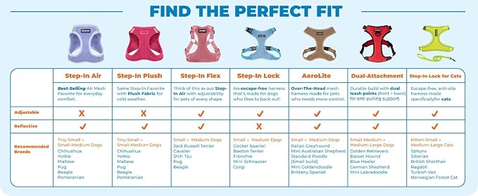 Best Pet Supplies Voyager Step-in Air Harness - All Weather Mesh, Reflective, No Pull Harness for Dogs, Cats - Secure with Hook & Loop Fastener, Buckle, Double D-Rings - Black, XXS