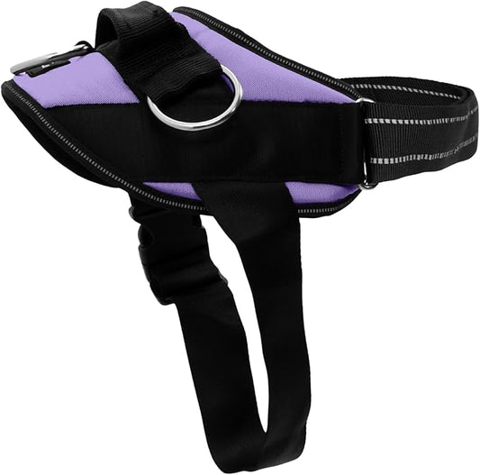 ShawnCo Essential Dog Harness, No-Pull Pet Vest with 3 Leash Clips, No Choke, Reflective, Adjustable and Padded, for Easy Walking and Training for Small, Medium and Large Dogs (ICY Lilac, L)