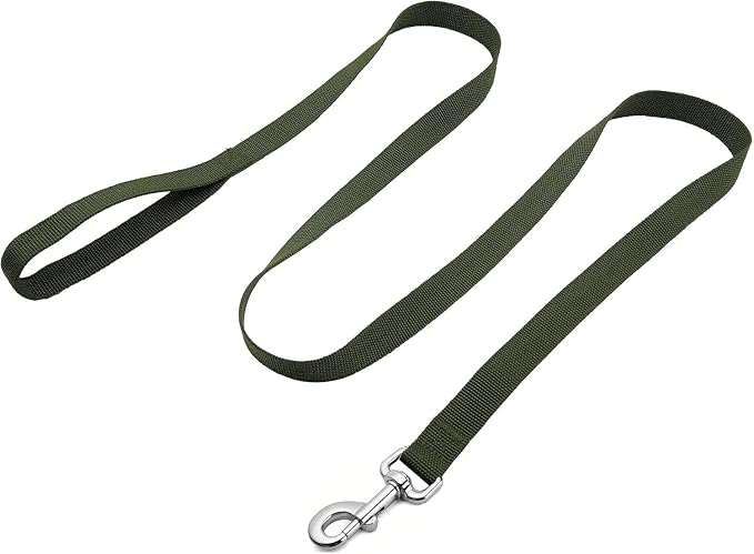 Strong Nylon Dog Leash, 4FT/ 5 FT/ 6FT Dog Leashes for Small Medium Dogs