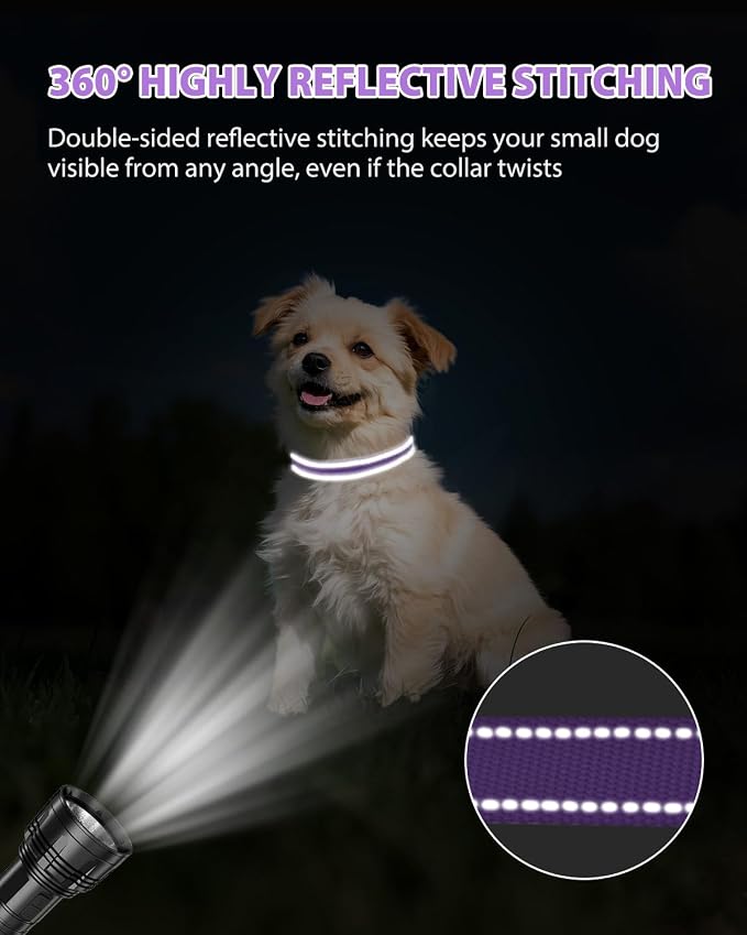 Joytale Dog Collars for Small Dogs, Feather-Light Double-Sided Reflective Nylon Collar for Night Safety, Adjustable Quick-Release for Growing Puppies, Purple, S (5/8" Width)