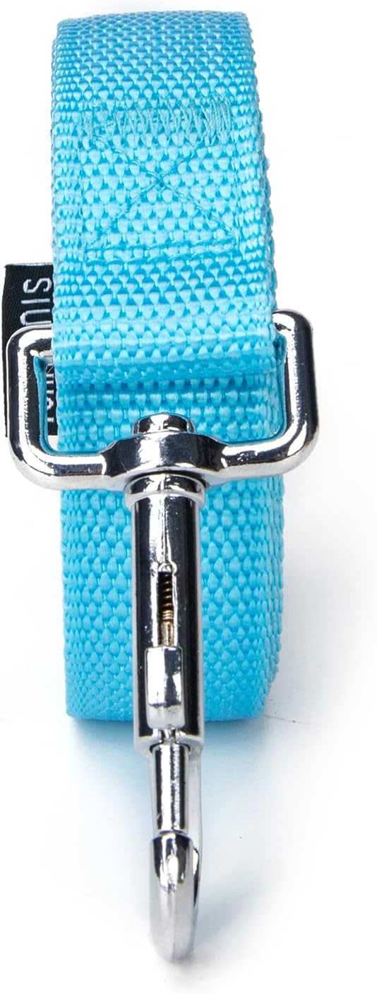 Strong Durable Nylon Dog Training Leash, 1 Inch Wide Traction Rope, 6 ft 10ft 15ft Long, for Small and Medium Dog (Mint Blue, 15 Feet)