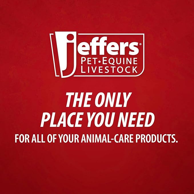 Jeffers Feed Scoop for Horses, Livestock, Pets, Chickens, Goats – 5 Pint 2.5 Quart Heavy-Duty Plastic Grain Scoop – Durable Farm Tool for Animal Feed, Barn, Stable, Garden, Dog Food - Red