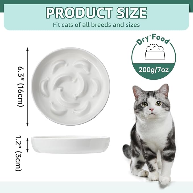 Ceramic Cat Slow Feeder Bowl - 6.3'' Wide Opening Whisker Friendly Cat Plate for Dry and Wet Food - Cute Maze Feeder Dish Helps Reduce Vomiting - Microwave and Dishwasher Safe - White