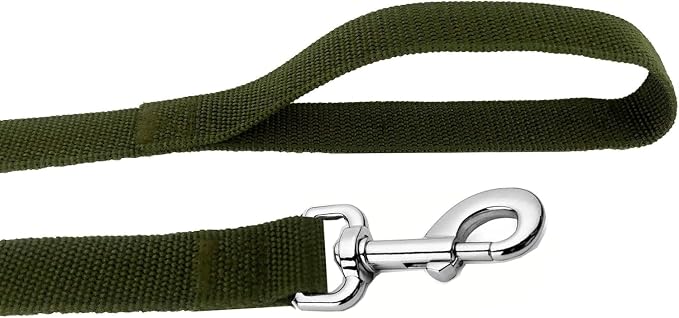 Strong Nylon Dog Leash, 4FT/ 5 FT/ 6FT Dog Leashes for Small Medium Dogs