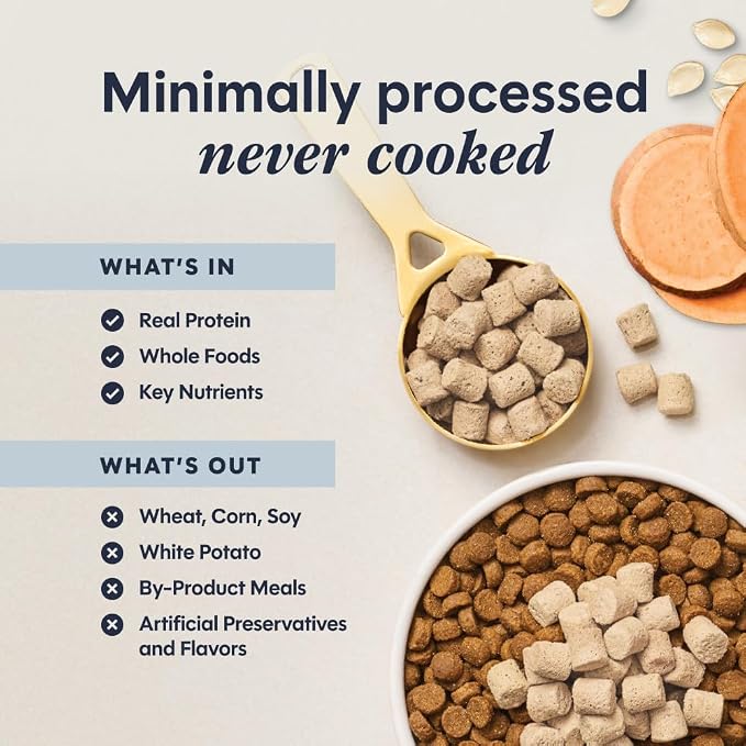 Instinct Raw Boost Mixers, Freeze Dried Cat Food Toppers with Functional Ingredients, Grain Free, Real Beef - Multivitamin for Adults, 5.5 oz Bag