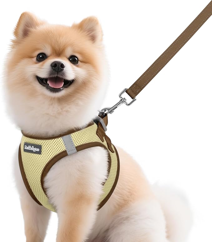 rabbitgoo Dog Harness Small Sized and Leash Set, Step-in Breathable Pet Harness, Soft Walking Reflective Puppy Vest for Small Dogs, Beige & Coffee, M