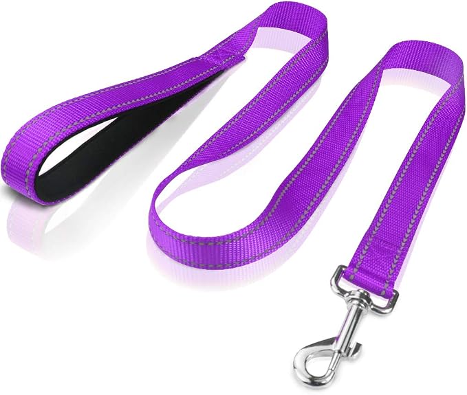FunTags 4FT Purple Reflective Dog Leash for Medium & Small Dogs Training, Soft Padded Handle Comfortable Grip, Heavy Duty Nylon, Reflective for Night Walking, 3/4in Wide
