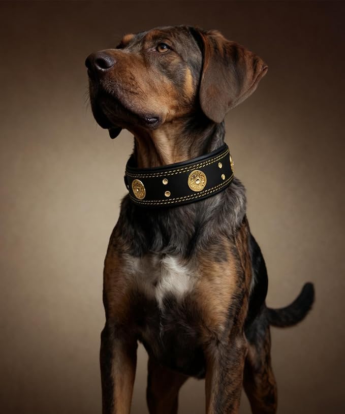 Genuine Leather Dog Collar for Large Dogs,2 in Wide Heavy Duty,BK-GD-S | Handmade,Stainless Steel Pin Buckle,Soft Padded,Alloy Studded,Luxury Eye-catching Design,Medium Large Giant Breeds,15-19 in