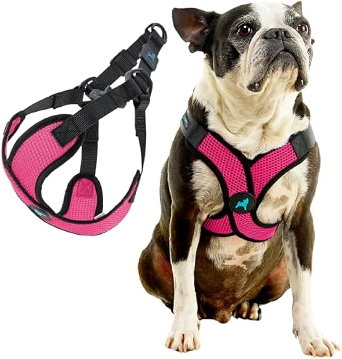 Gooby Comfort X Step in Lite Dog Harness - Choke Free, Escape Free with Light Breathable Mesh - Step in Dog Harness for Small Dogs Only - Quick Release Buckle, Metal D-Rings - Flamingo Pink, Large