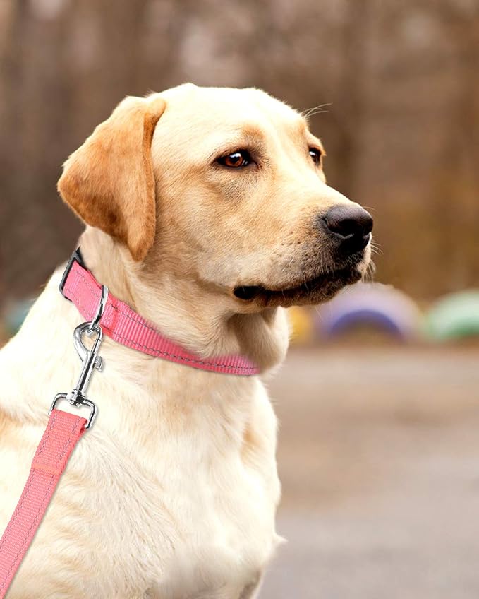 FunTags Length 16" - 24" Reflective Babypink Dog Collar for Large Dogs – Night Walking & Training Safety, Durable Quick Release Buckle, Nylon, Comfortable Adjustable, Width 1"