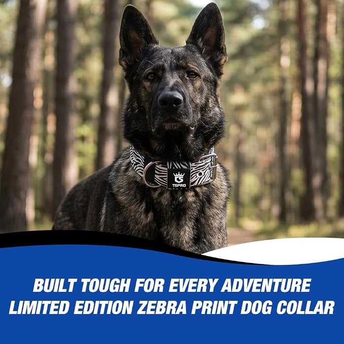 TSPRO Tactical Heavy Duty Dog Collar 1.5 Inch Wide & Thick, Durable Metal Buckle, Adjustable for Medium to Large Dogs, Strong & Comfortable for Daily Use (Classic Zebra Print, M)
