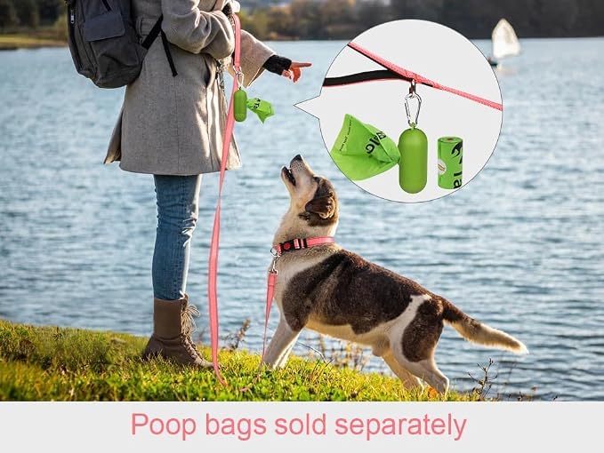 Taglory Dog Leash for Small Dogs, Double-Sided Reflective Leash with Soft Neoprene Padded Handle, 3/4 inch by 6 ft, Fit Small Medium Large Breeds Under 20 lbs, Pink