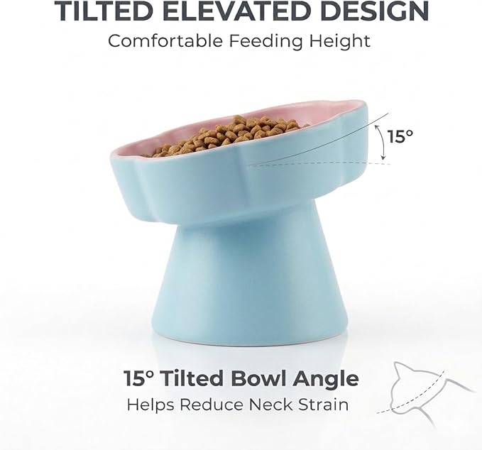 Elevated Ceramic Slow Feeder Cat Bowl, 15° Tilted Feeding Dish Helps Reduce Fast Eating and Vomiting, Whisker-Friendly Heavy Smooth Matte Ceramic, Dishwasher Safe (Blue/Pink)