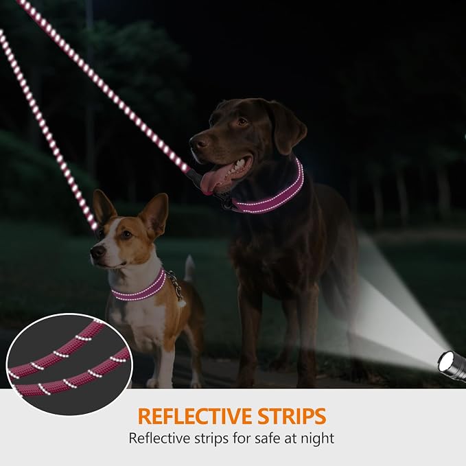 Taglory Double Dog Leash Coupler for Two Dogs, 1/3" Lightweight Dual Leash Extension for Small and Medium Dogs, No Tangle 360° Swivel, Reflective Rope, 30 Inch, Pink