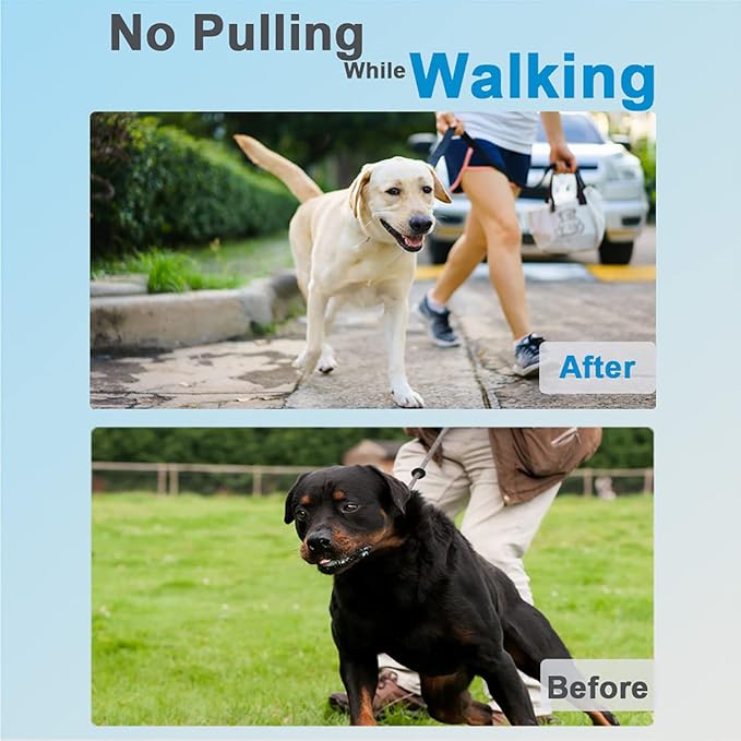 Prong Collar for Dogs, Dog Training Collar, Adjustable Size Dog Pinch No Pull Collar with Quick Release Buckle for Small Medium Large Dogs(with Extra Links) S(14-18" Neck, 2.25mm)