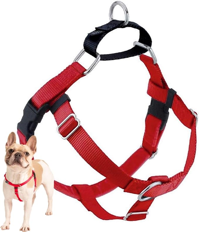 2 Hounds Design Freedom No Pull Dog Harness, Adjustable Harness, Easy Walking & Comfortable Control, Fits Small, Medium & Large Dogs, Solid Colors, Made in USA, 1" XL, Red