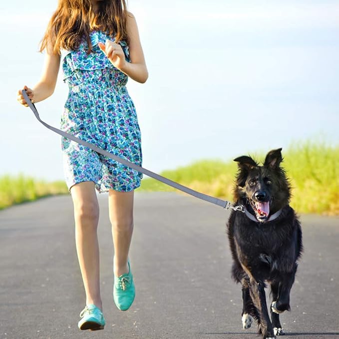 FunTags 4FT Grey Reflective Dog Leash for Large & Medium Dogs Training, Soft Padded Handle Comfortable Grip, Heavy Duty Nylon, Reflective for Night Walking, 1in Wide