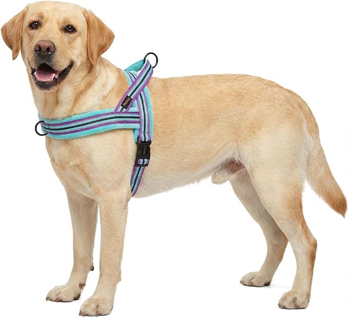 Didog Soft Flannel Padded Dog Vest Harness, No Pull/Quick Fit Reflective Dog Strap Harness, Easy for Training Walking (L:Chest 26-32", Mixed-Blue)