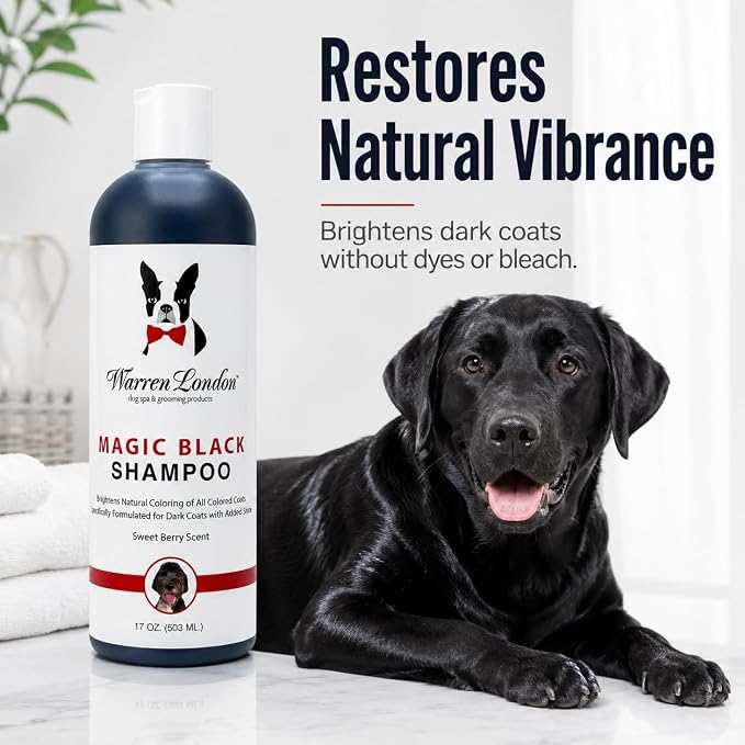 Warren London Magic Black Dog Shampoo – Brightening Shampoo for Dark Coats, Berry Scent, Puppy & Cat Safe, Made in USA, 17 oz