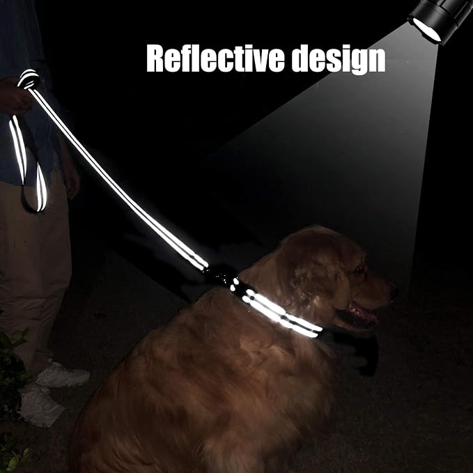 FunTags 6FT Black Reflective Dog Leash for Medium & Small Dogs Walking, Soft Padded Handle Comfortable Grip, Heavy Duty Nylon, Reflective for Night Walking, 3/4in Wide