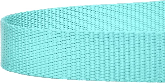 Country Brook Petz - Everyday Nylon Dog Leash - Strong, Durable, Solid Color Leash with Easy to Use Snap - 25+ Colors (1 Inch Wide, 6 Foot, Light Cyan)