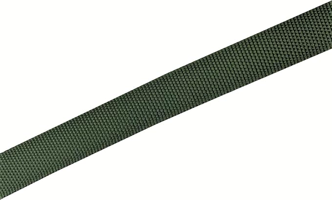 TAIAN 4FT/5FT/6FT Strong Dog Leash, Nylon Dog Leashes for Small Medium Large Dogs (1 in x 5 ft, Green)