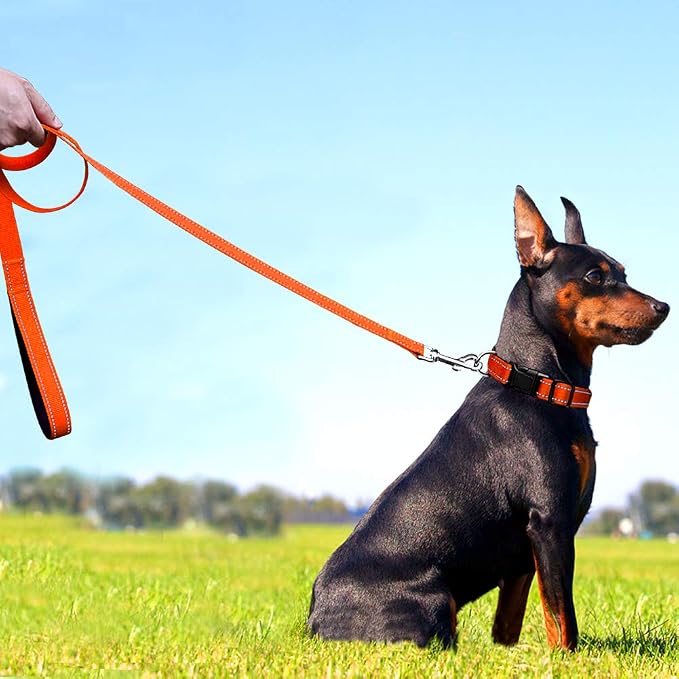 FunTags 6FT Range Reflective Dog Leash for Medium & Small Dogs Walking, Soft Padded Handle Comfortable Grip, Heavy Duty Nylon, Reflective for Night Walking, 3/4in Wide