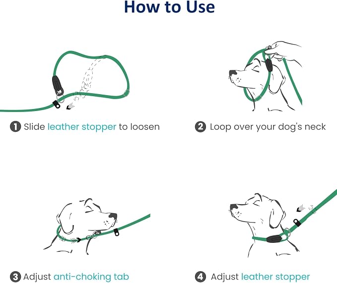 WePet Dog Training Slip Leash, No Pull, Durable Reflective Lead, Puppy Heavy Duty Loop Rope, Comfortable Handle, 6 ft, 1/2 inch, diam. Forest/White