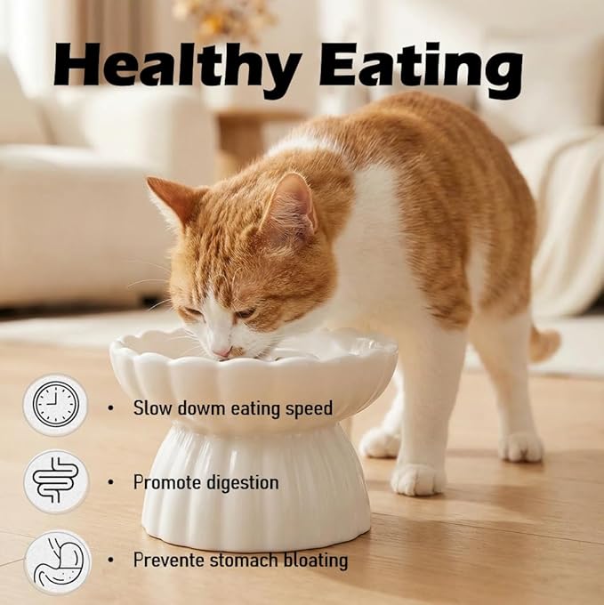 Ceramic Cat Slow Feeder, Raised Slow Feeder Cat Bowl, Anti Vomiting and Whisker Friendly Kitty Dish, Elevated Puppy Kitten Food Bowl for Dry and Wet Food (White)