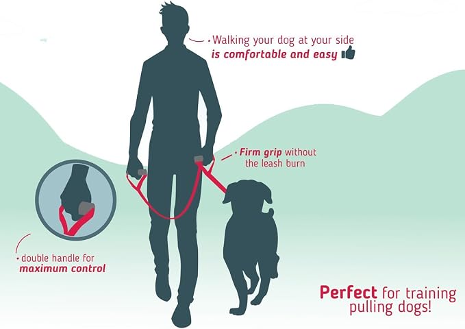 Leash Boss Original - Heavy Duty Dog Leash for Large Dogs - No Pull Double Handle Training Lead for Walking Big Dogs - Dog Leashes with Padded Handle for Control and Safety (Classic Red)