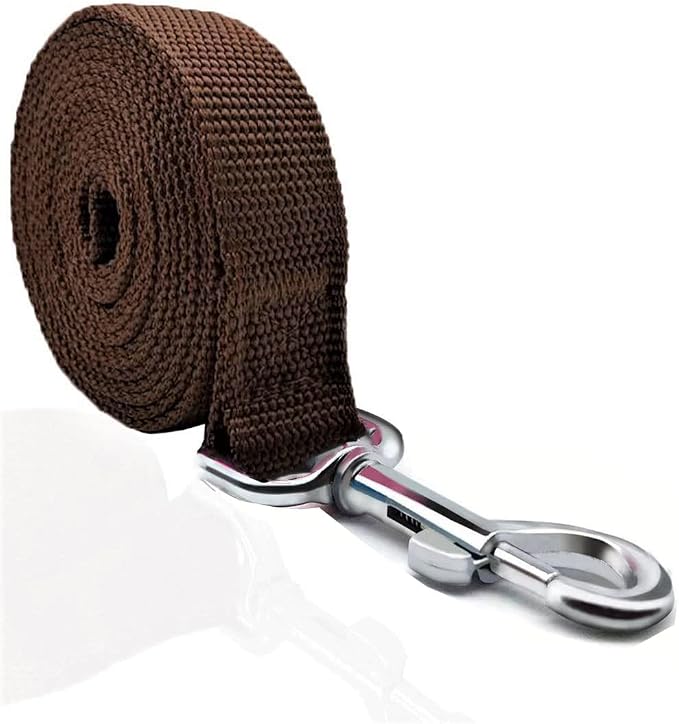 TAIAN 4FT/5FT/6FT Strong Dog Leash, Nylon Dog Leashes for Small Medium Large Dogs (Brown, 1 in x 15 ft)