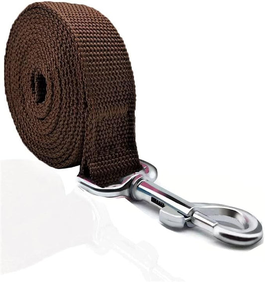 TAIAN 4FT/5FT/6FT Strong Dog Leash, Nylon Dog Leashes for Small Medium Large Dogs (1 in x 4 ft, Brown)