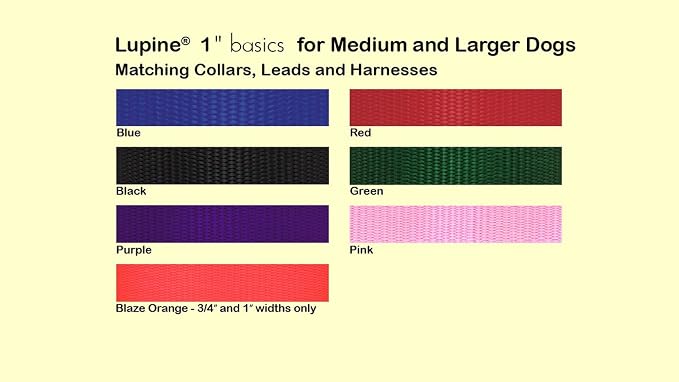 LupinePet Basics 1" Green 25-31" Adjustable Collar for Extra Large Dogs