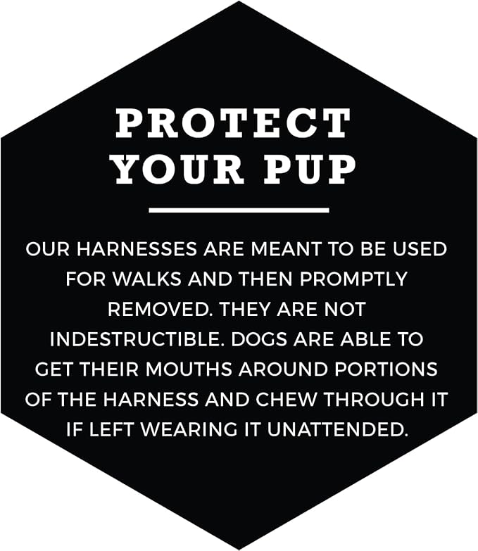 Wolfgang Heavy Duty Adjustable Dog Harness, Pull-Tested to Over 800 lbs for Walking & Training, DarkSkies Print, Small