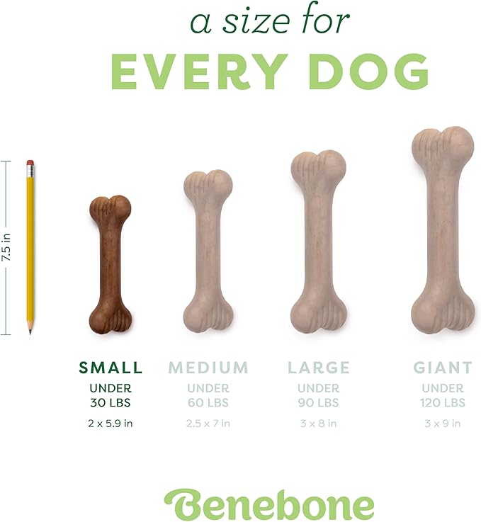 Benebone Bone Durable Dog Chew Toy for Aggressive Chewers, Real Bacon, Made in USA, Small