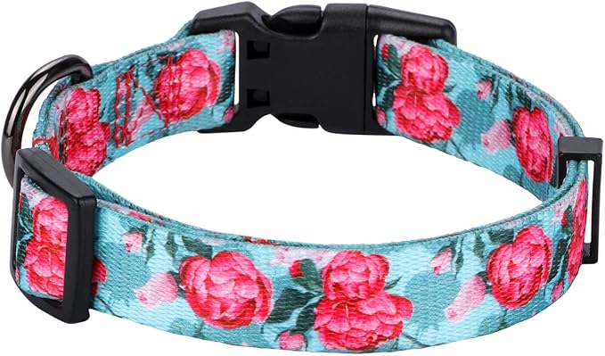 Girl Dog Collars Summer Floral Rose Print, Female Flower Collar, Turquoise, Small