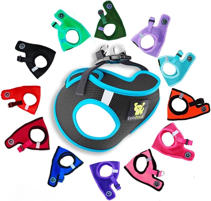 EcoBark Step in Dog Harness - Eco-Friendly Teacup Dog Harnesses for XXS, XS, and Small Dogs - Reflective and Adjustable Mini Body Halter Vest -Tiny Soft Mesh Toy Breed Harness (Black and Teal, XXS)