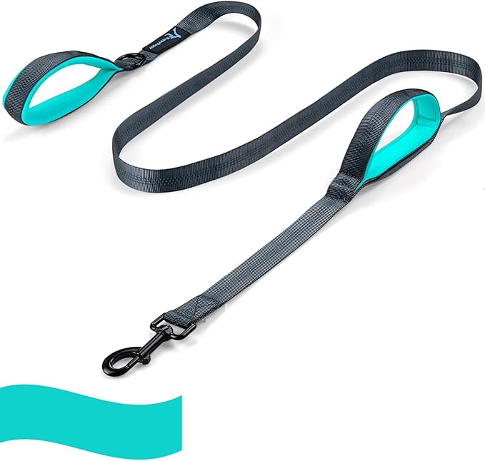 Dog Leash for Large Medium Dogs 6Ft x 1" Reflective Stitching Large Pet Leash with 2 Traffic Padded Handles Dog Lead Rope for Running Walking Training (Green 1 Pack)