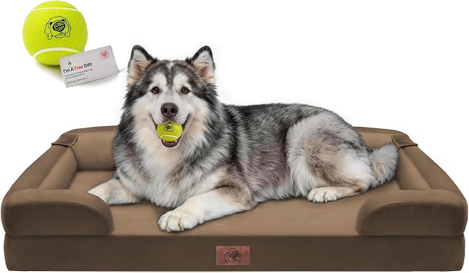Extra Large Dog Bed-Washable Orthopedic Huge Pet Bed for Big Dogs Waterproof Couch Memory Foam Sofa Bolster with Removable Cover,48 x 30