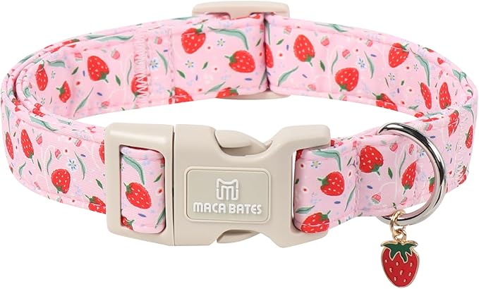 Maca Bates Spring Pink Basic Dog Collar with Strawberry Charm for Medium Girl Boy Dogs, Leaves Strawberries Pattern,Pretty Gift Adjustable Durable Soft Collars for Male Female Puppy