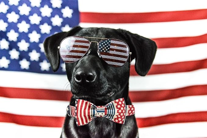 Elegant little tail Independence Dog Collar, July 4th American Flag Bowtie Puppy Collars, Hoiday Pet Collars Cute Pet Bowtie Dog Collar for X-Small Puppy